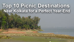 Top 10 Picnic Destinations Near Kolkata for a Perfect Year-End